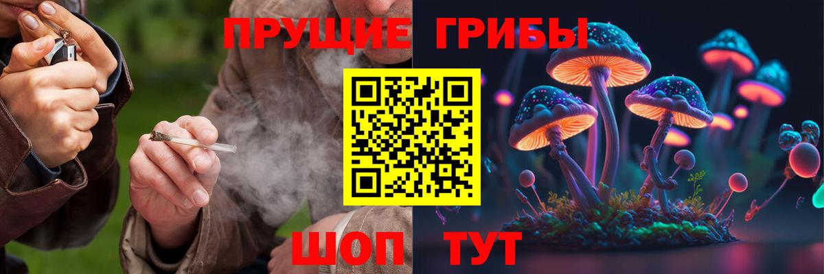Воткинск  Псилоцибиновые грибы MAGIC MUSHROOMS  Вход с VPN 